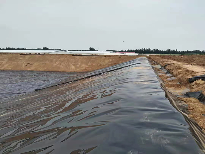 1651288296978530.jpg 3ad6207ae66739041b9f1fcce1b6355.jpg