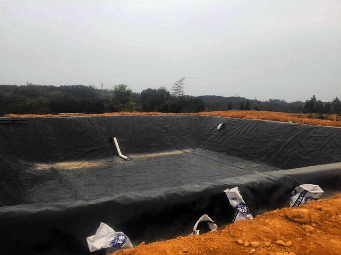 魚塘用HDPE土工膜優(yōu)缺點對比