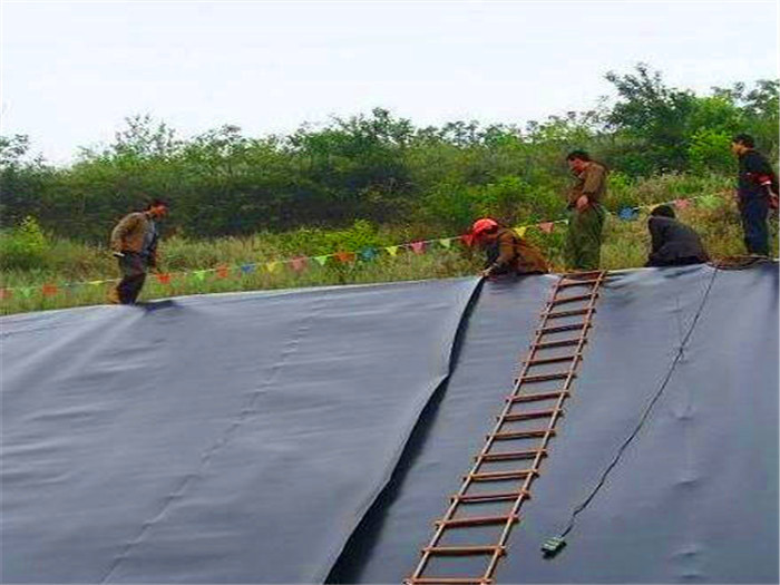 復(fù)合土工膜的價(jià)格區(qū)間為何如此差異？